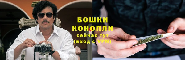 ГАЛЛЮЦИНОГЕННЫЕ ГРИБЫ Костерёво