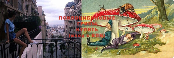 Альфа ПВП Арсеньев