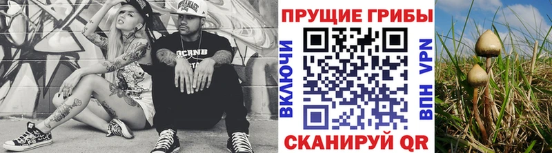 Псилоцибиновые грибы GOLDEN TEACHER Протвино