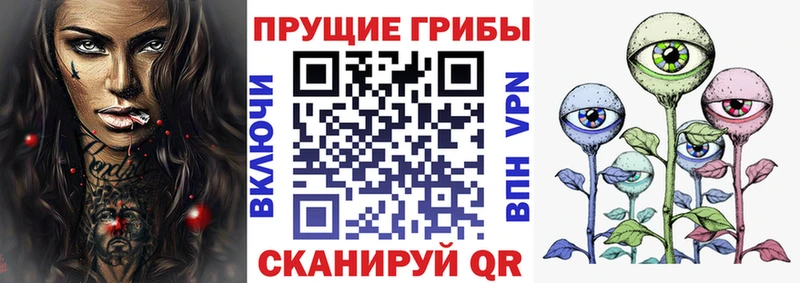 Псилоцибиновые грибы Psilocybe  Протвино 